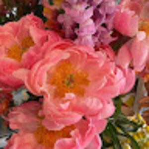 Meet your Posher, Inez